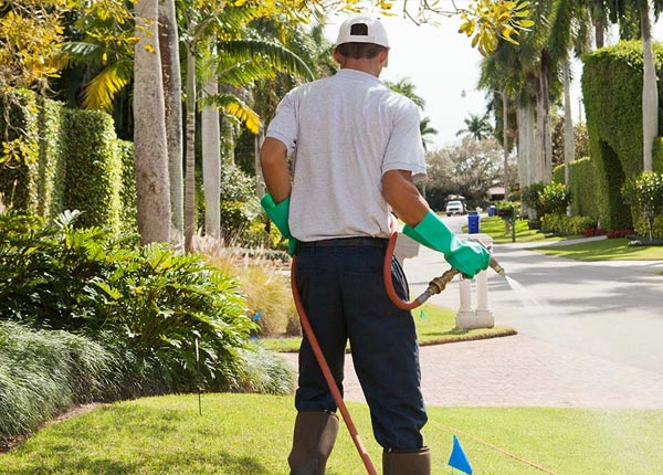 About Claremont MN Pest Control